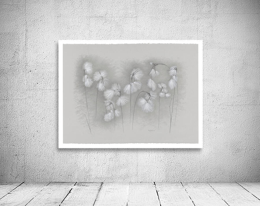 Linaigrette Wall Preview