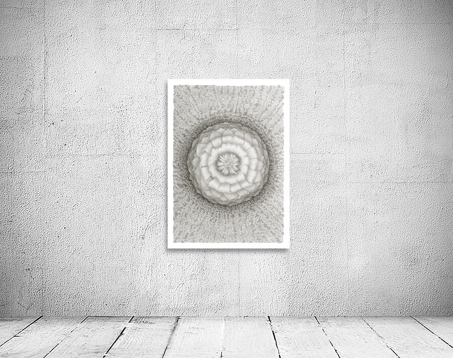 Mandala 2 Wall Preview