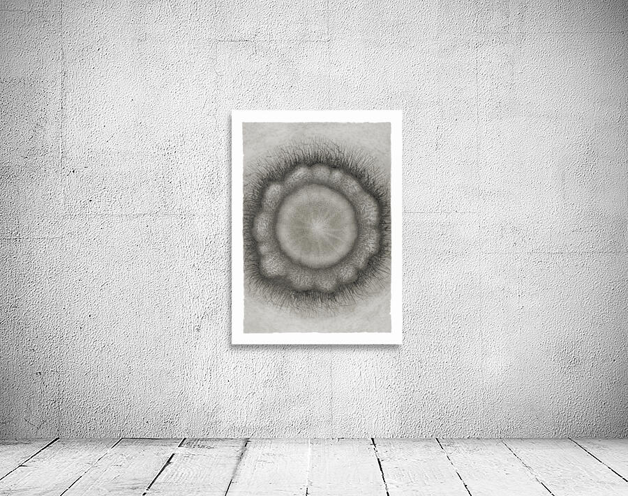 Mandala 5 Wall Preview