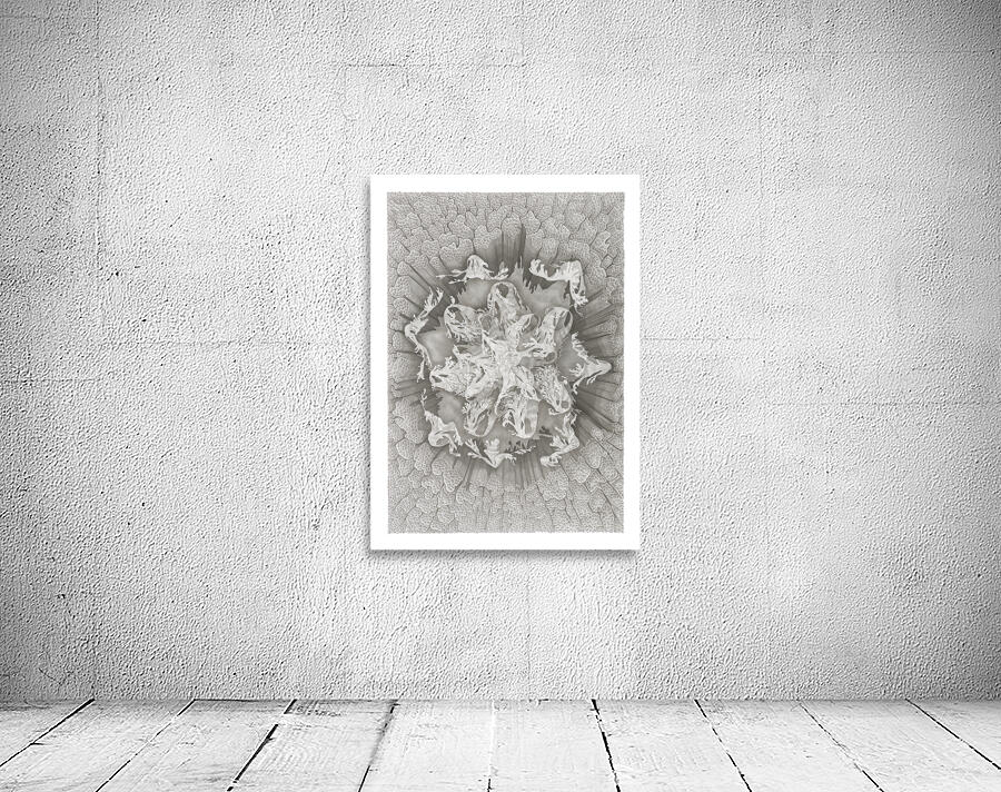 Mandala 6 Wall Preview