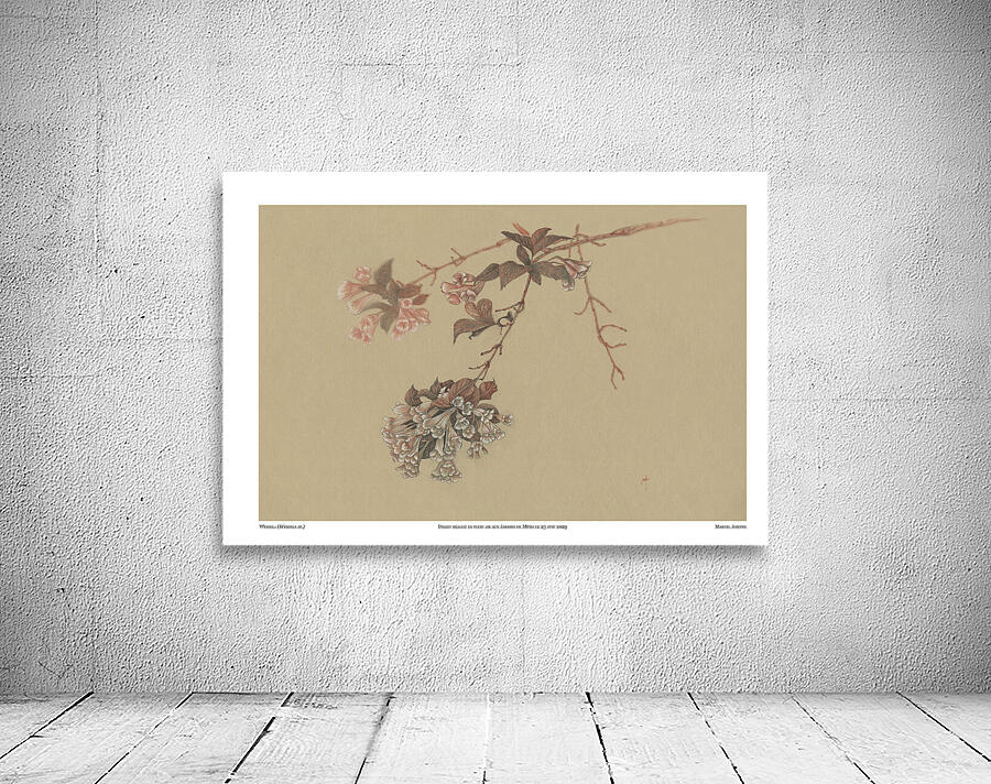 Weigela Wall Preview