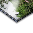 Monets Garden Acrylic print