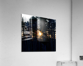 Sunstar Over Riverside Woods Acrylic Print