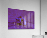 Conch Shell Digital  Acrylic Print