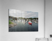 The Ugly Ann  Acrylic Print