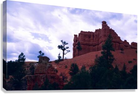 Red Canyon v3 Canvas Print