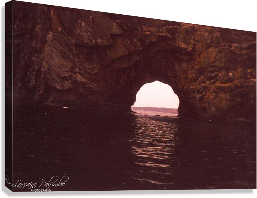 Cruise to Bonaventure Island  v2.1 Canvas Print