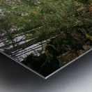 Sabbaday Falls v3 Metal print