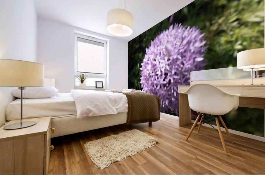 Purple Allium Mural print