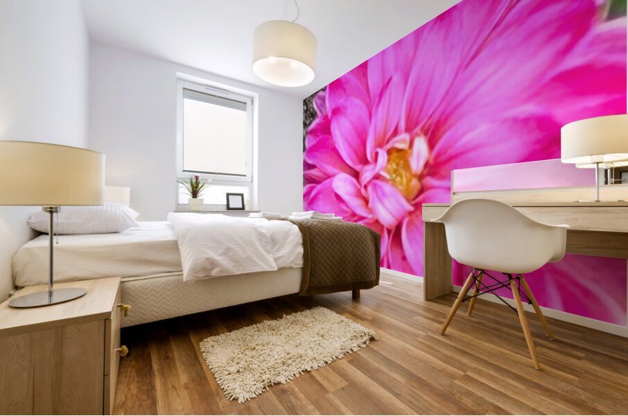 Pink Dahlia Macro Mural print