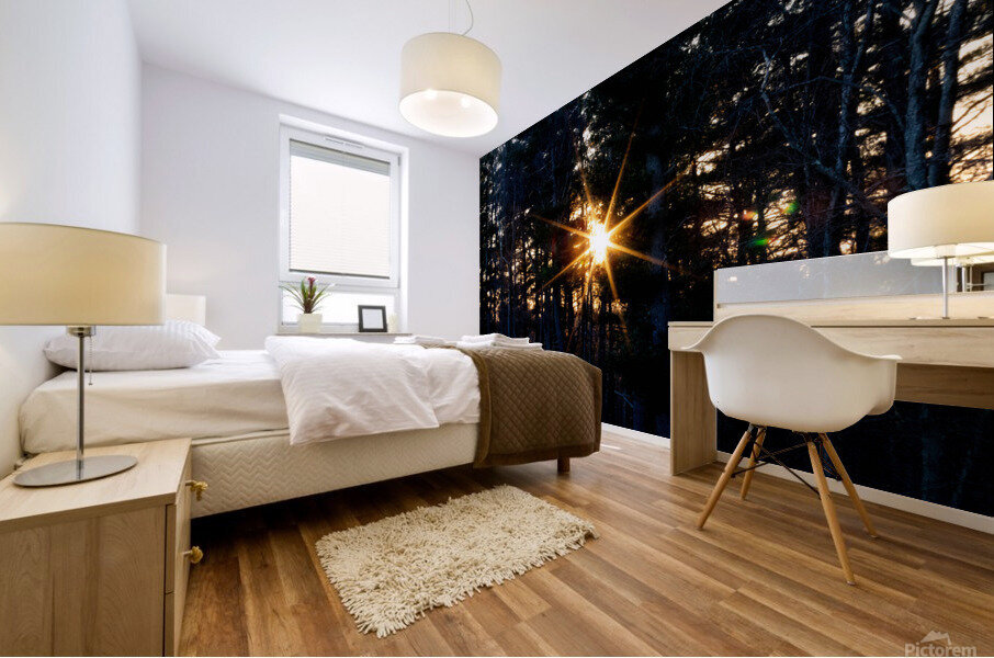Sunstar Over Riverside Woods Mural print