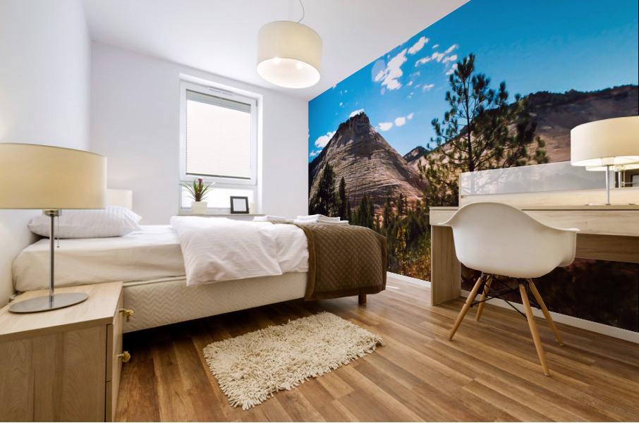 Checkerboard Mesa Mural print