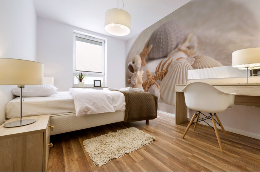 Sea Shell Collection Mural print
