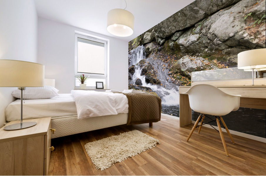 Roaring Falls NH Mural print