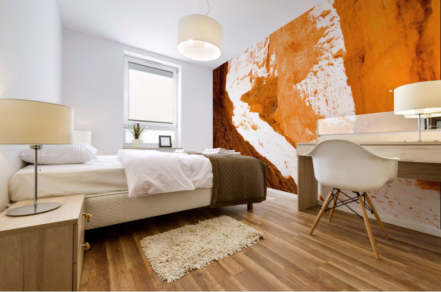 Exiting Wall Street Mural print