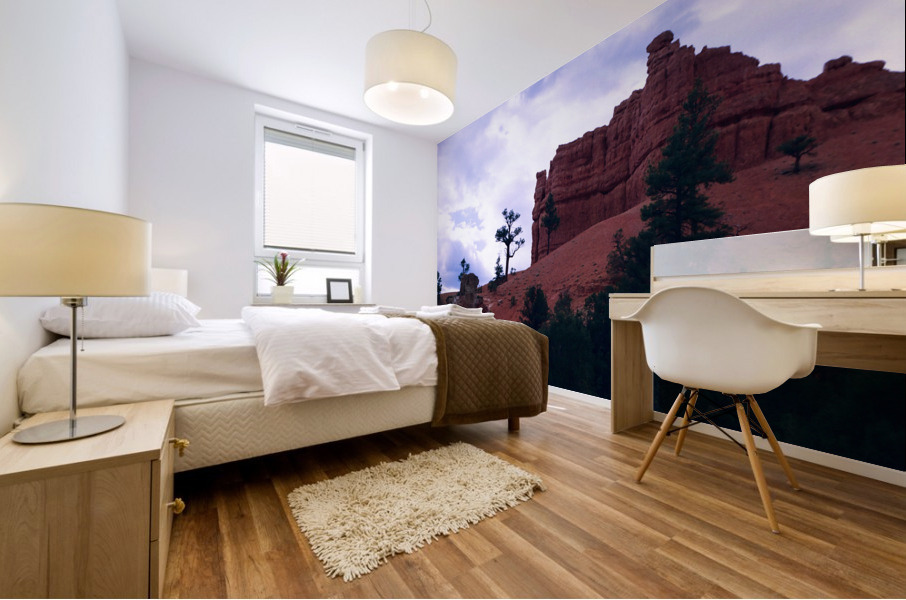 Red Canyon v3 Mural print