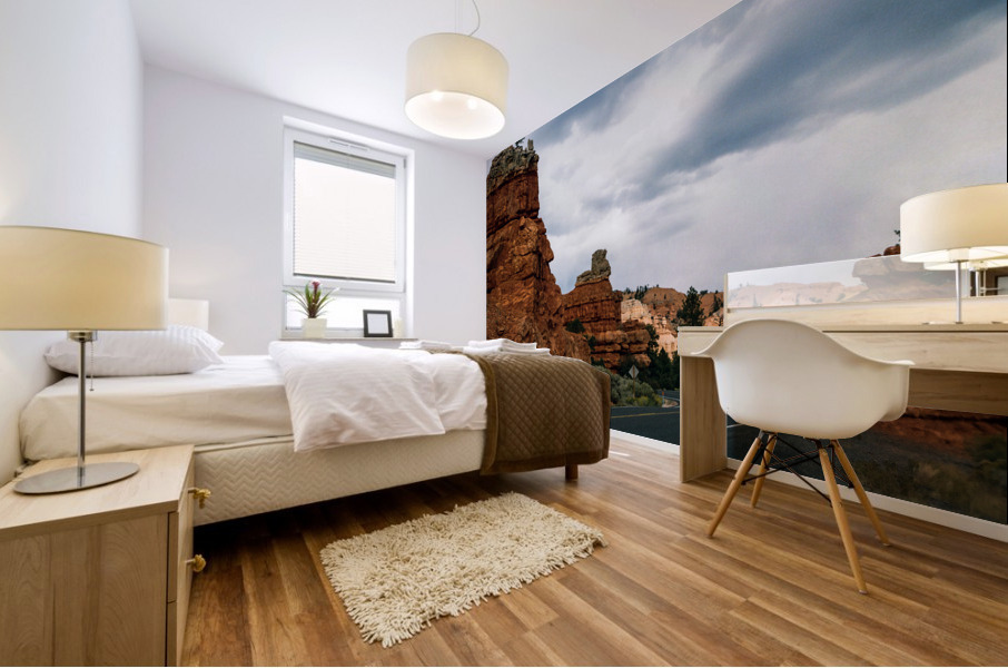 Red Canyon v1 Mural print