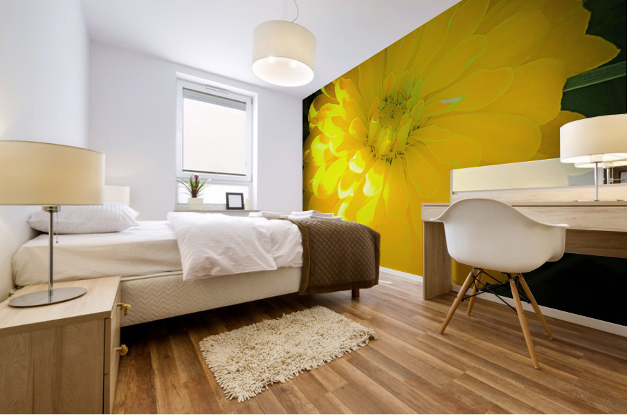 Yellow Dahlia Macro Mural print