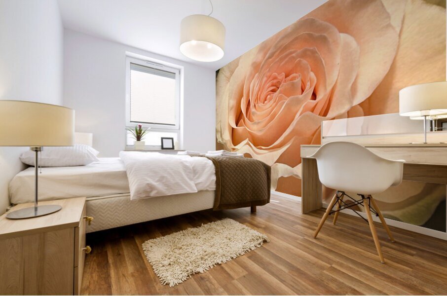 Peach Rose Macro v1 Mural print