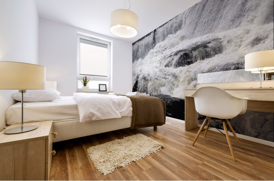 Raging Salmon Falls Mural print