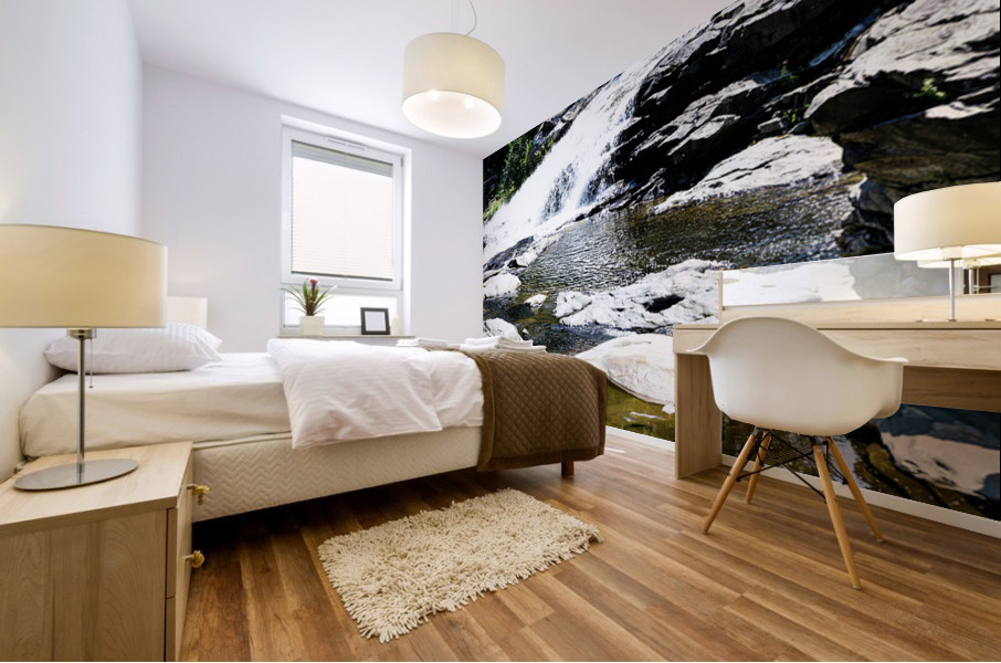 Salmon Falls v1 Mural print