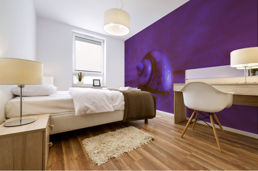 Conch Shell Digital  Mural print