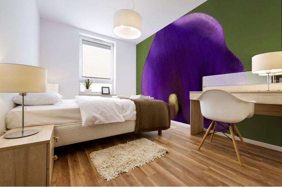 Purple Calla Lilly Macro  Mural print