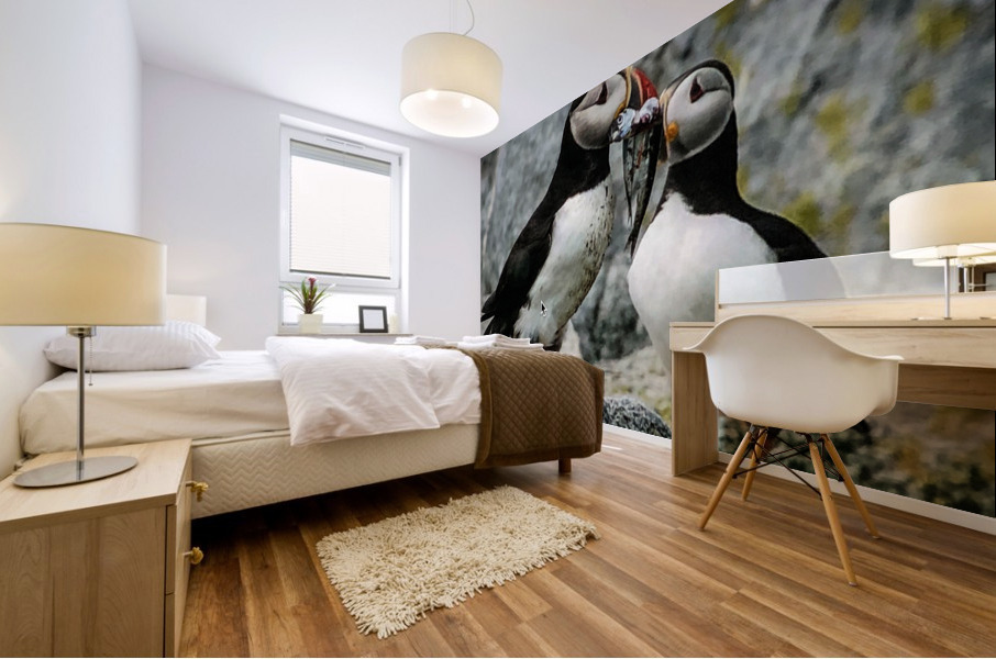 Two Puffins Mural print