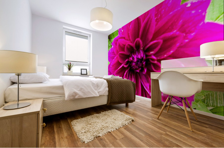 Purple Dahlia Mural print