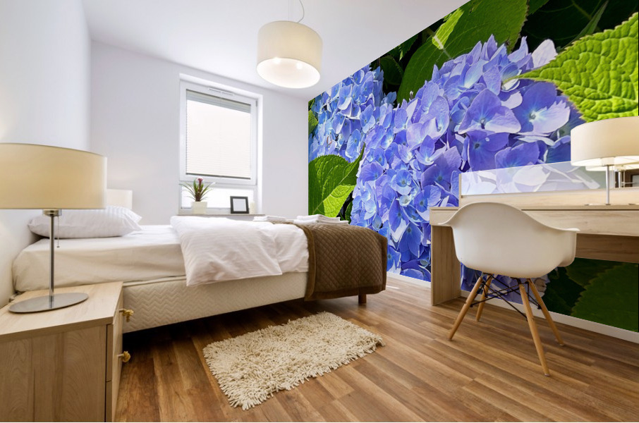Two Hydrangeas Mural print