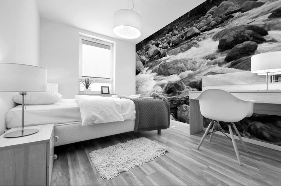 Swift River BW Mural print