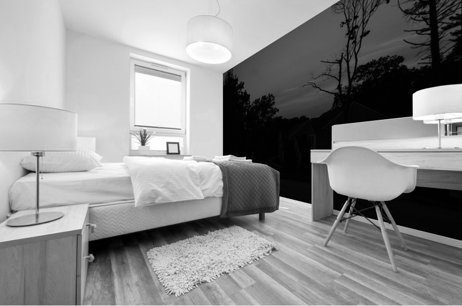 Andover Sunset BW Mural print