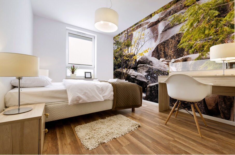 DIANAS BATHS V2.3 Mural print