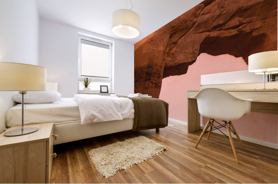 Pine Tree Arch Different POV Mural print