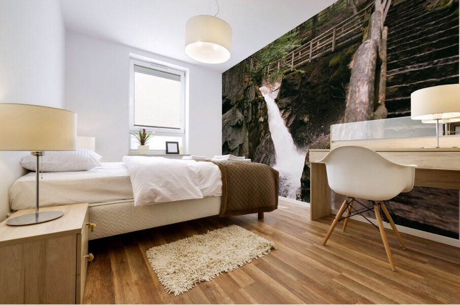 Sabbaday Falls v3 Mural print