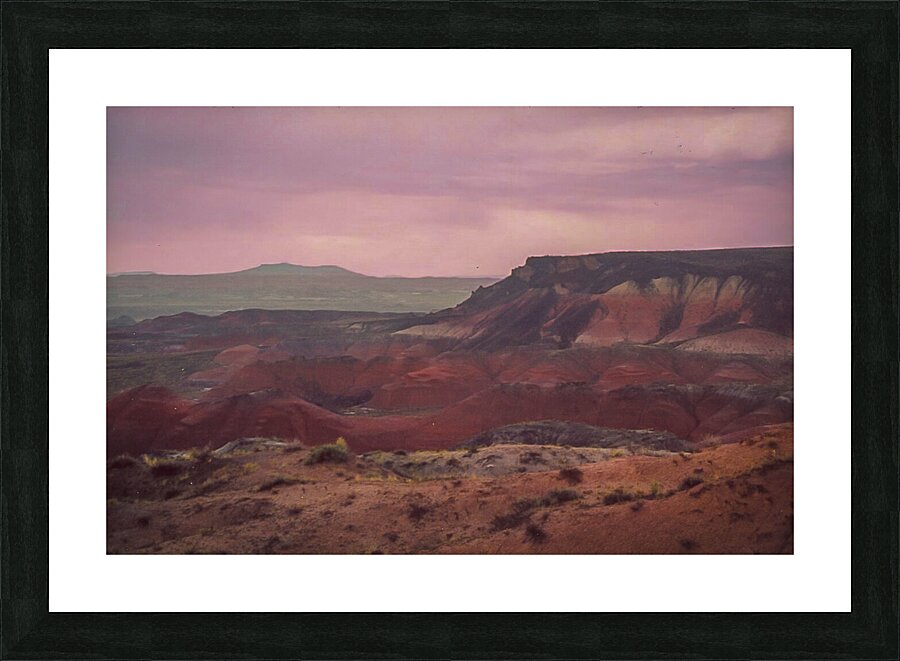 The Painted Desert Picture Frame print