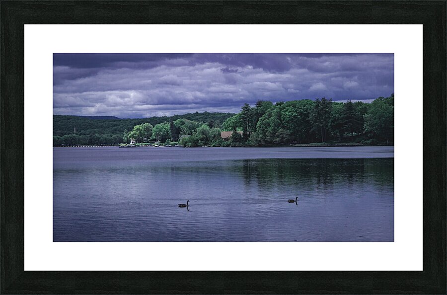 Two Ducks Gill MA Picture Frame print