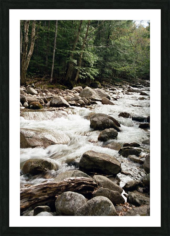 Swift River Vertical Picture Frame print