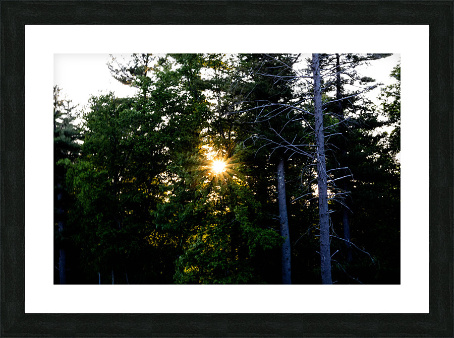 Sunset Star v2.1 Andover Picture Frame print