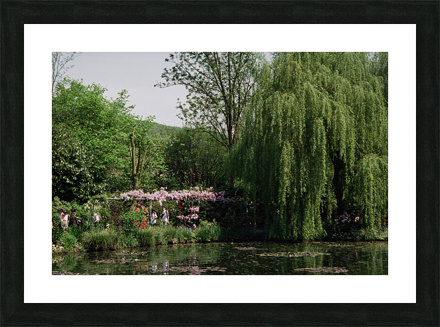Monets Garden Picture Frame print