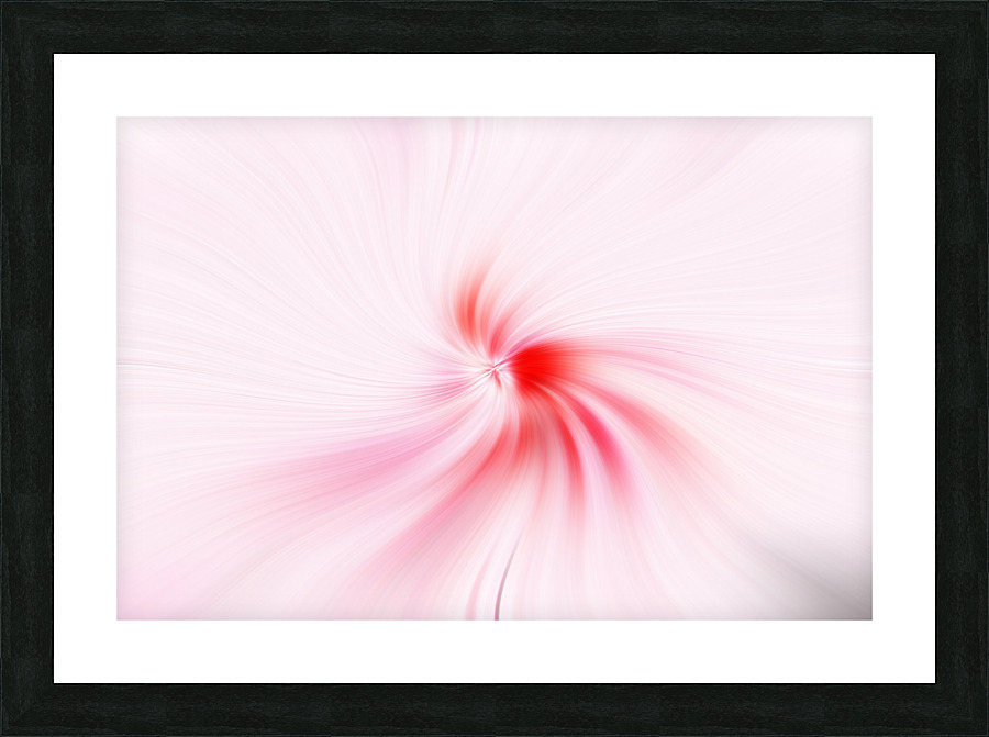 Twirling Conch Shell Picture Frame print