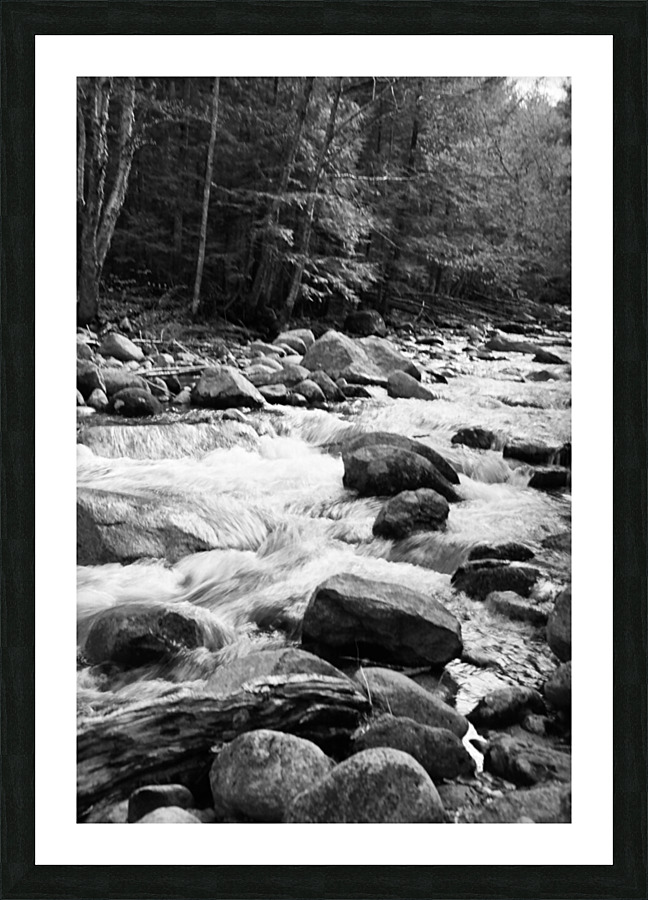 Swift River Vertical BW Picture Frame print