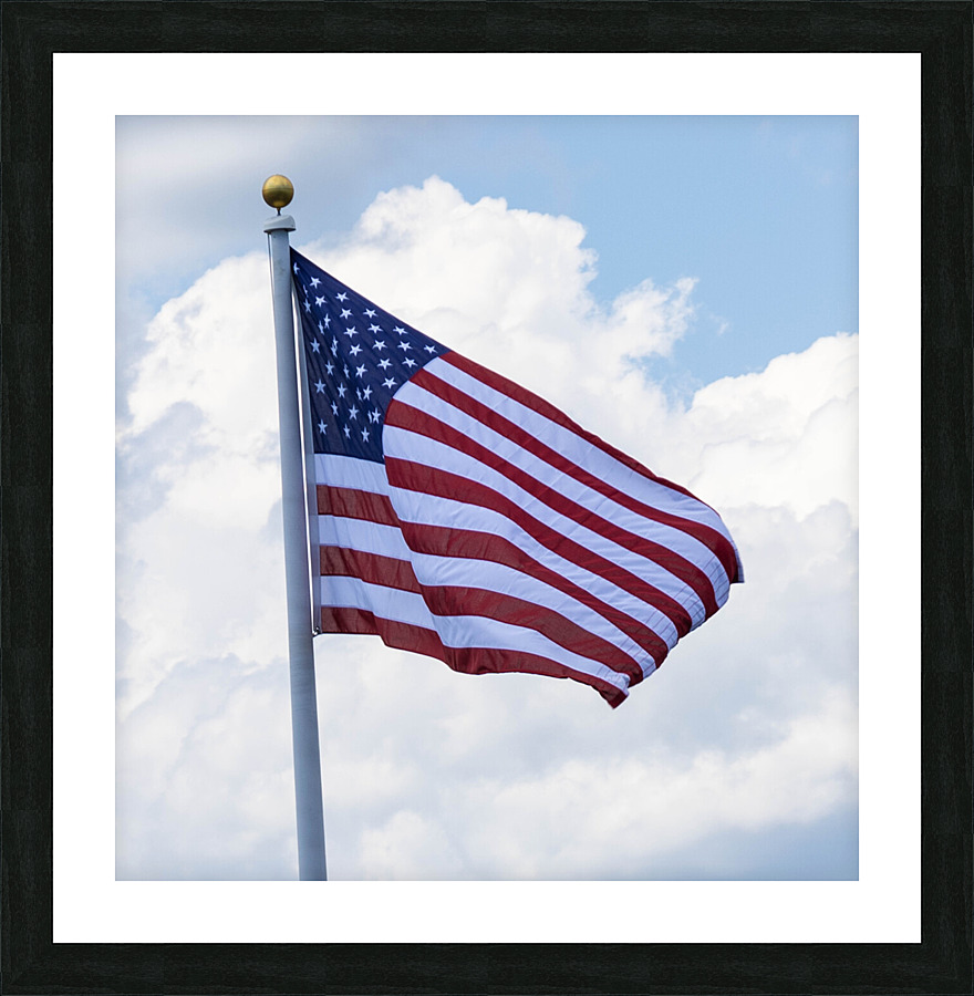 Old Glory Picture Frame print