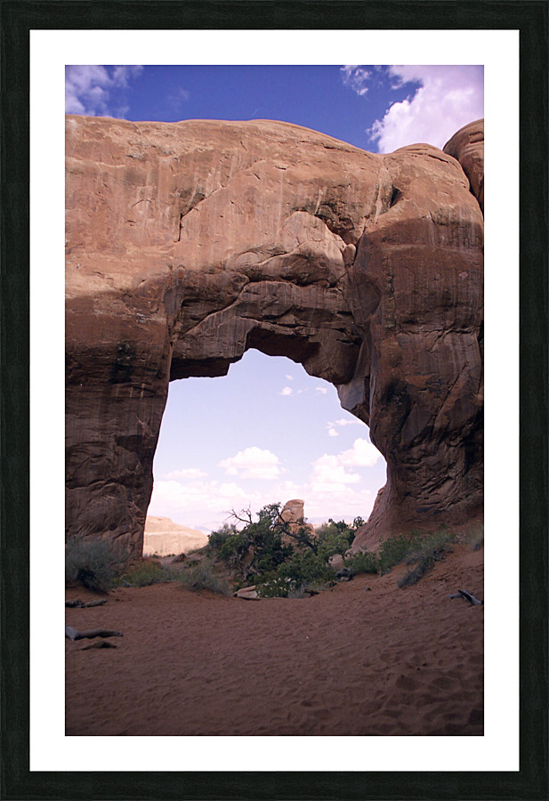 Pine Tree Arch Picture Frame print