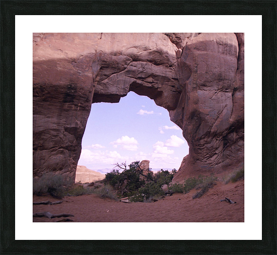 Pine Tree Arch V2 Picture Frame print