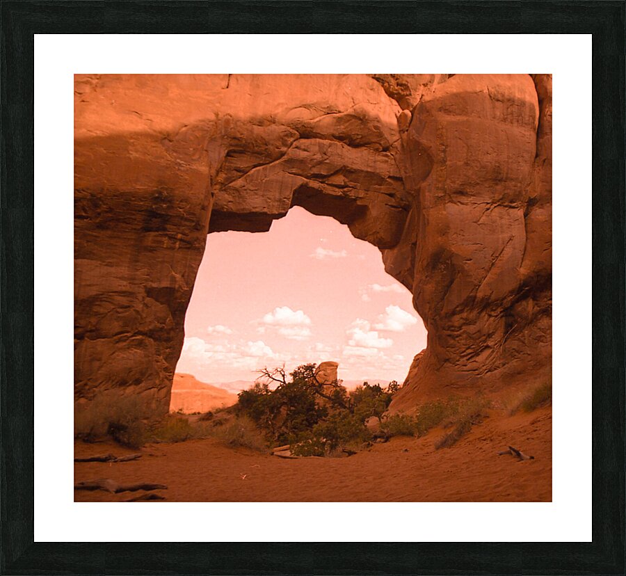 Pine Tree Arch Utah Picture Frame print