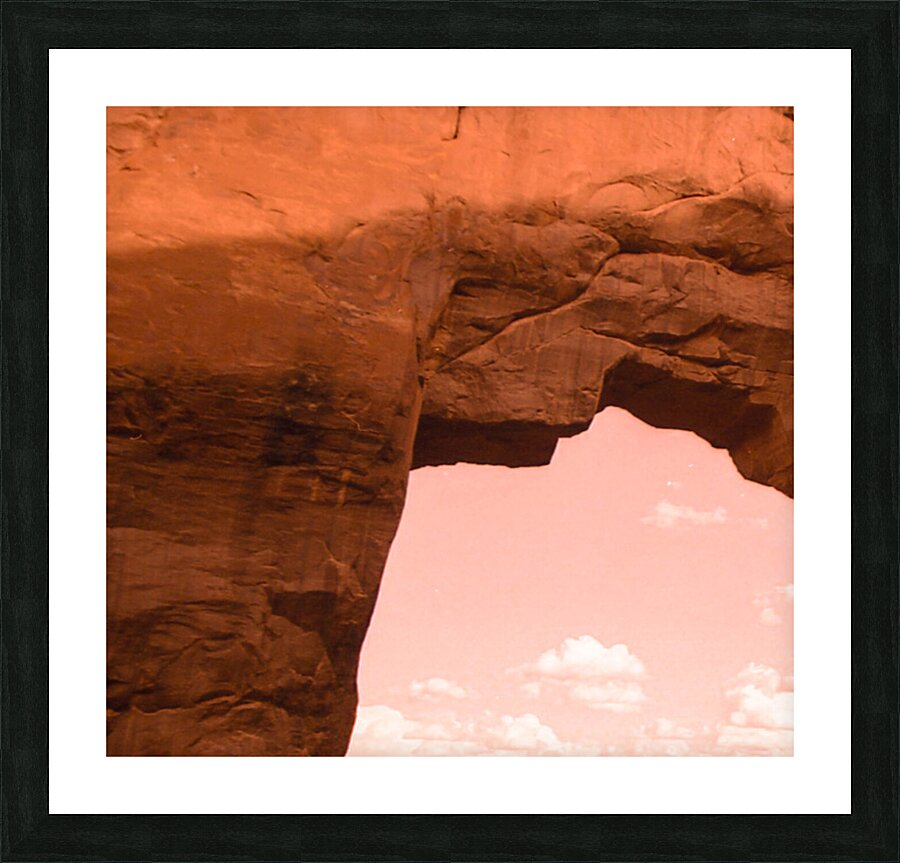 Pine Tree Arch Different POV Picture Frame print