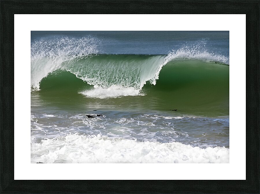 Surfing Anyone Picture Frame print