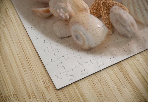 Sea Shell Collection Palumbo Photography puzzle