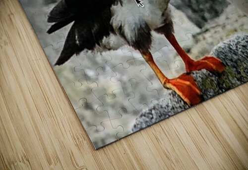 Two Puffins Palumbo Photography puzzle
